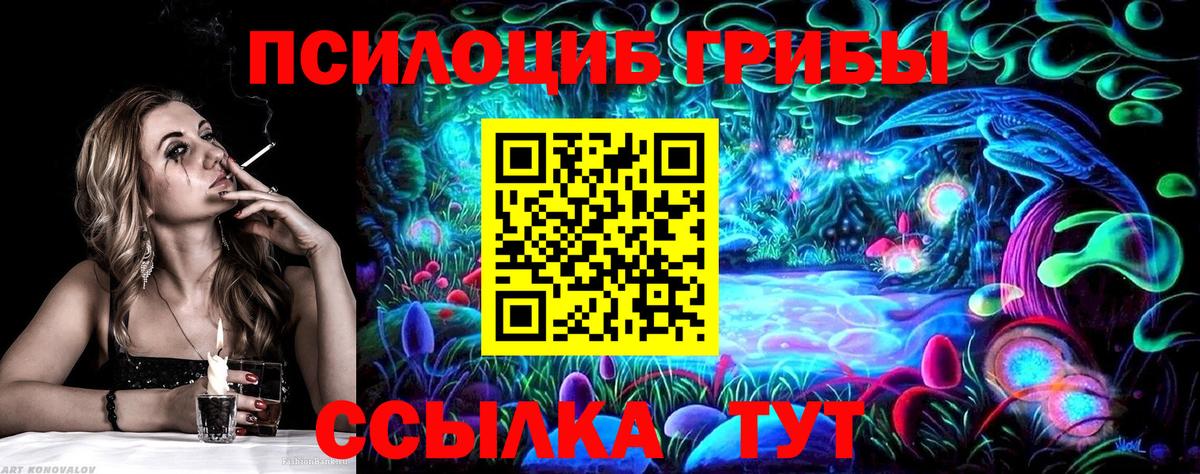 Черногорск  Галлюциногенные грибы GOLDEN TEACHER  Вход с VPN 